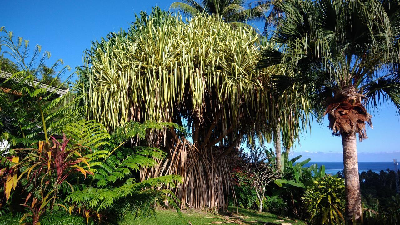 Villa Bo Teahupoo 外观 照片